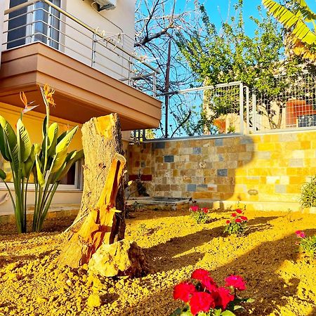 Glaros Beach Apartment Káto Darátsos Eksteriør bilde