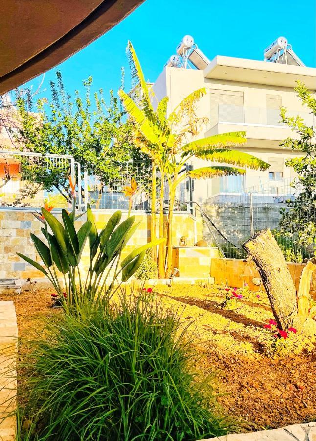 Glaros Beach Apartment Káto Darátsos Eksteriør bilde
